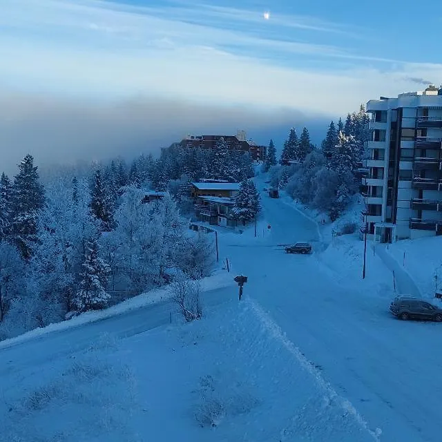 Chamrousse 1750 Studio 4 Personnes 29M2 location